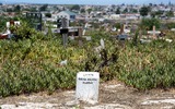 FORGOTTEN IN THE GROUND: How Cape Town families discovered their loved ones in paupers’ graves