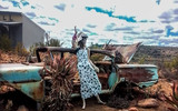 COUNTRY ROAD, TAKE ME HOME: Beverley is back! Beloved Karoo mannequin’s forced adventure comes to a happy end