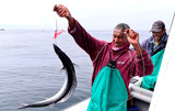 TROUBLED WATERS: Mapping South Africa's fishing industry — a conversation with Shaheen Moolla