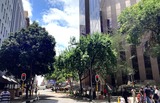 SUCCESSFUL COLLABORATION: Take a walk in downtown Joburg and see the impossible made possible