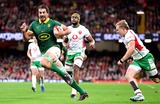 SEASON FINALE: Boks won’t show mercy but Rassie wants a strong Wales for the sake of rugby