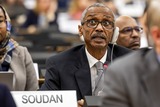 RSF actions in Sudan's al-Fashir points to genocide, UN probe says