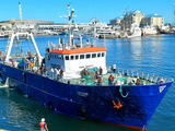 TROUBLED WATERS: Inside SA's fishing industry — it's more about survival, says Tim Reddell of&nbsp;(…)