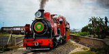 FULL STEAM AHEAD: Choo, choo! Nelson Mandela Bay approves bid to bring back the Apple Express