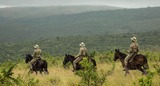 GUARDIANS UNDER FIRE: Plea to support Africa’s game rangers as conflict spreads to more parks